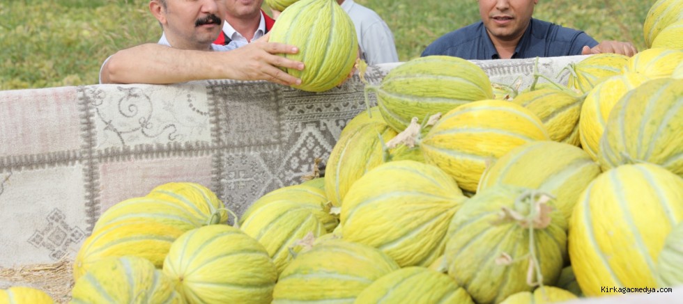 COĞRAFİ İŞARET ALMIŞ KIRKAĞAÇ KAVUNUNDA HASAT DEVAM EDİYOR