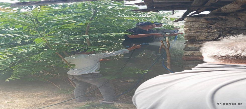 BOSTANCI MAHALLESİ YANGINLAR KONTROL ALTINA ALINDI