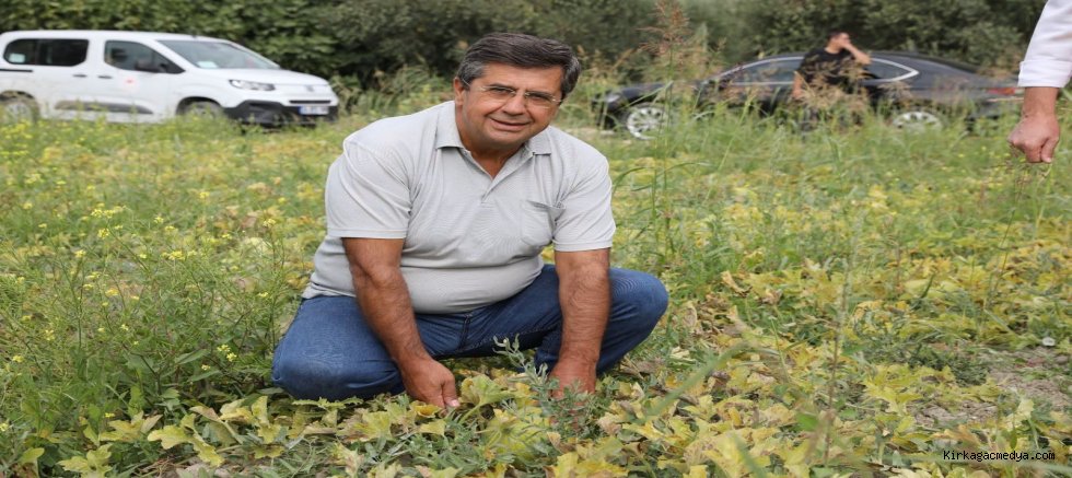 Büyük ve güçlü kooperatifleri çoğaltmamız lazım. 