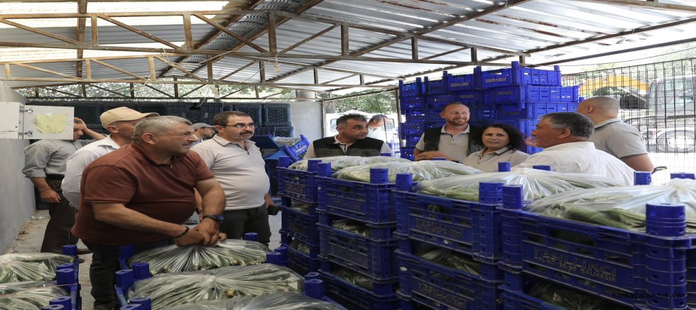 Kırkağaç’ta Seracılığa ORKÖY Desteği 