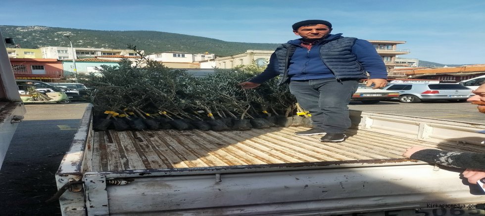 KIRKAĞAÇ ZİRAAT ODASINDAN ZEYTİN FİDANI DAĞITIMI ..