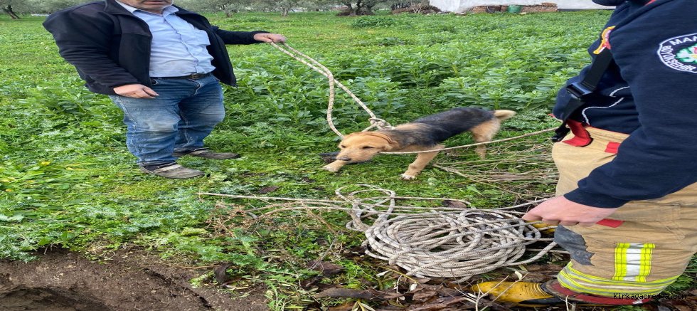 KUYUYA DÜŞEN KÖPEK KURTARILDI