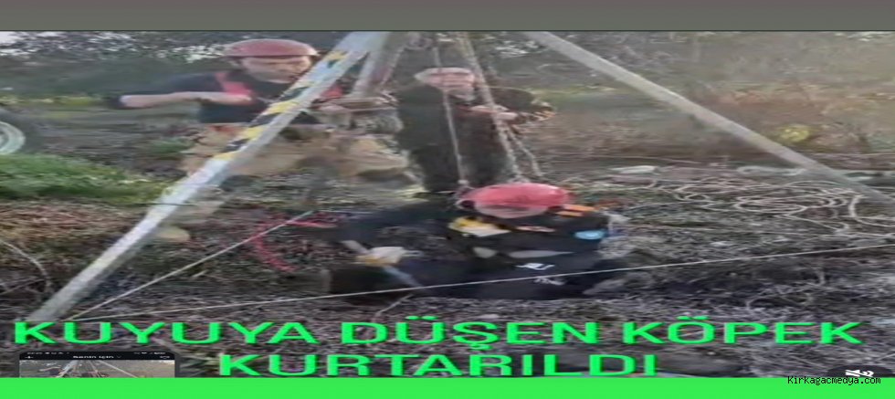 KUYUYA DÜŞEN KÖPEK KURTARILDI