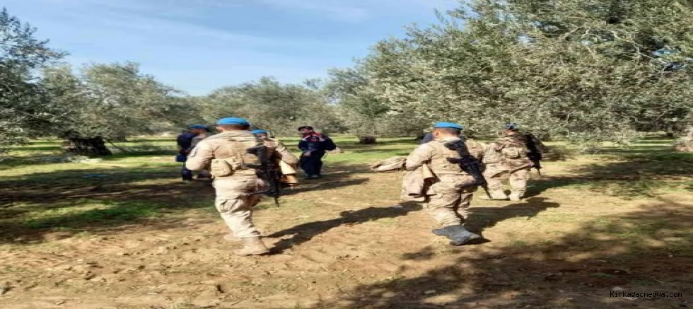 Zeytin hırsızlığına jandarma engeli...