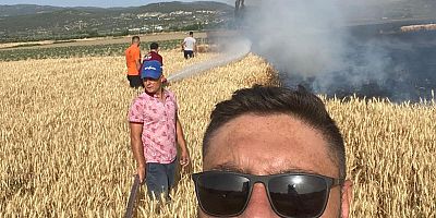 12 dönüm buğday tarlası yandı.