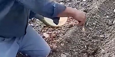 2025 YILI KAVUNU KESEREK TOHUMUNU TOPRAKLA BULUŞTURDU