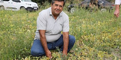 Büyük ve güçlü kooperatifleri çoğaltmamız lazım. 