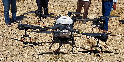 Kırkağaç'ta DRON ile zeytin ilaçlaması yapıldı.