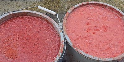 KIRKAĞAÇ'TA SALÇA SEZONU BAŞLADI 