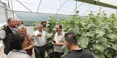 Kırkağaç’ta Seracılığa ORKÖY Desteği 