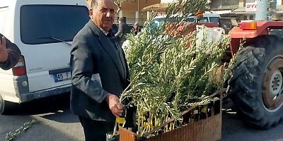 KIRKAĞAÇ ZİRAAT ODASINDAN ZEYTİN FİDANI DAĞITIMI ..