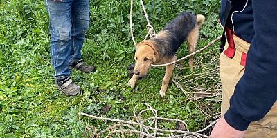 KUYUYA DÜŞEN KÖPEK KURTARILDI