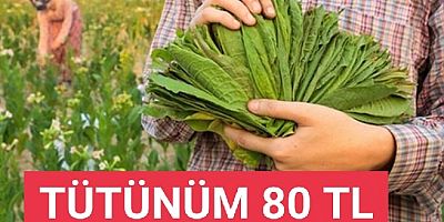 TÜTÜN  EN AZ 80.00 TL OLMALI ...
