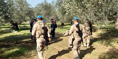 Zeytin hırsızlığına jandarma engeli...