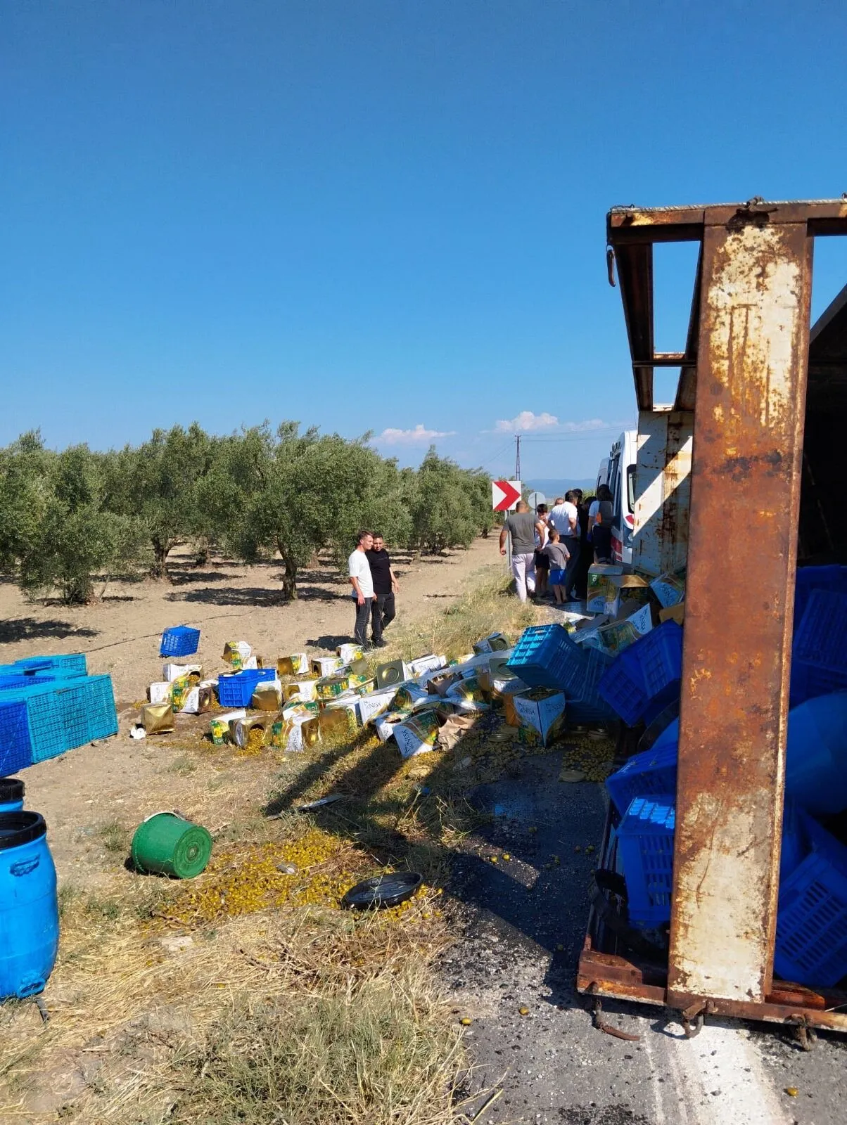 Zeytin yüklü kamyon devrildi: 2 yaralı